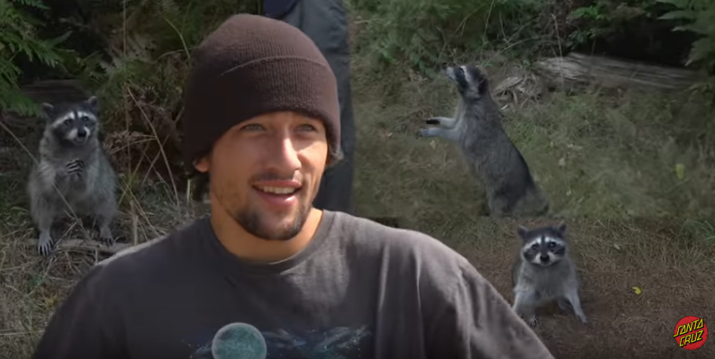 Trash Panda