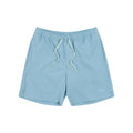 Dime Secret Swim Shorts - Sky Blue