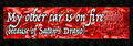 Satan's Drano Bumper Sticker